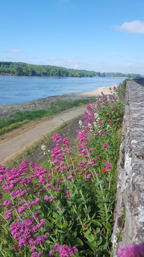 Le Cosy Loire Appart Leilighet Les Rosiers Eksteriør bilde